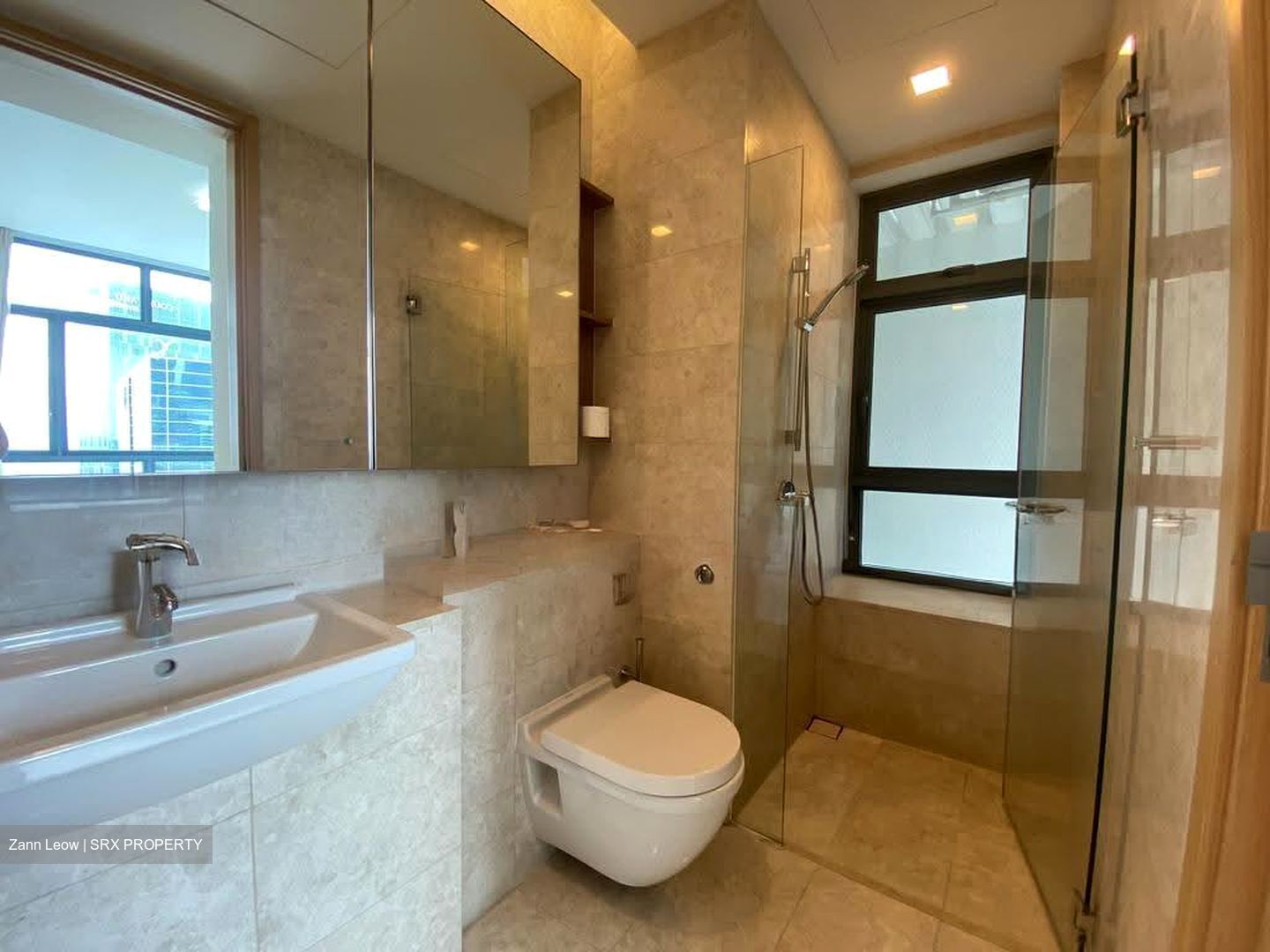 Soleil @ Sinaran (D11), Condominium #625948611
